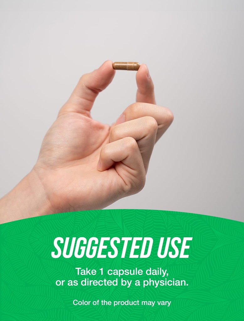bulksupplements-com-astragalus-capsules--4.jpg
