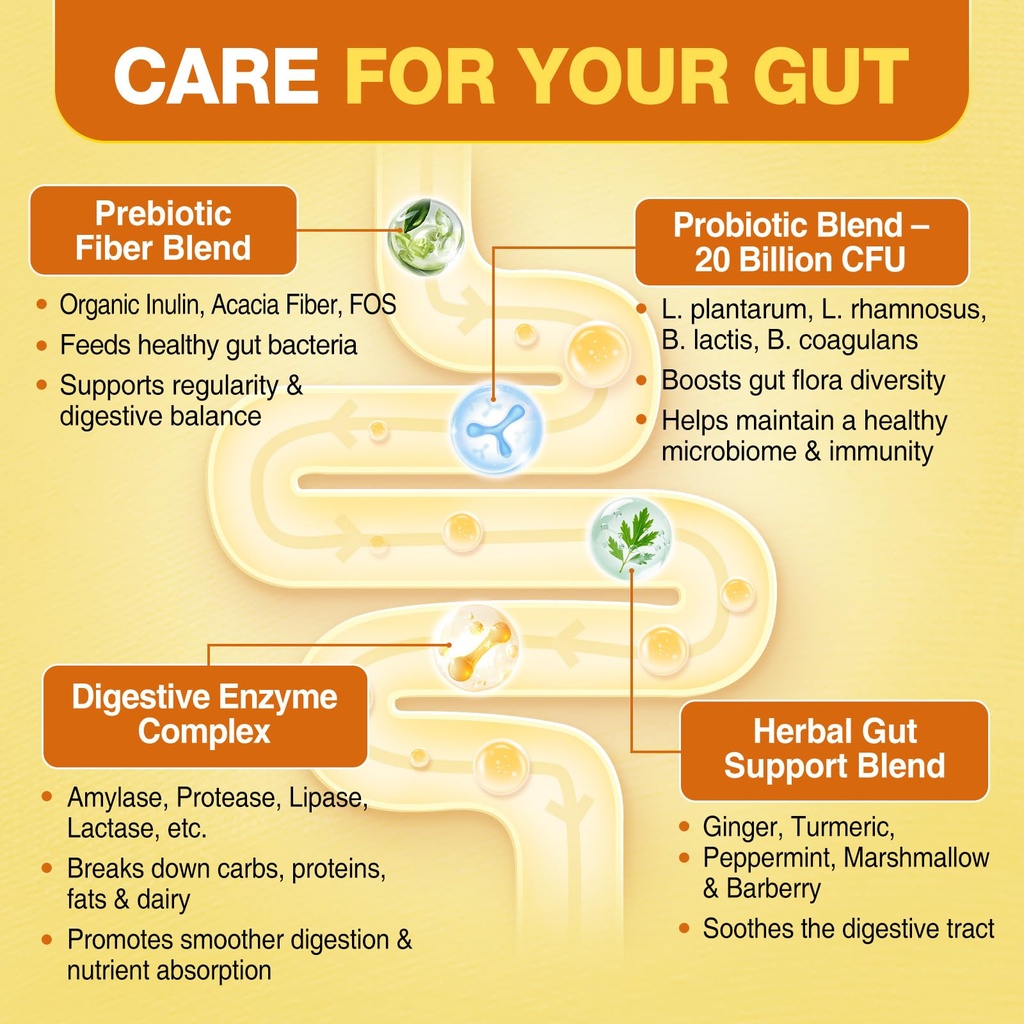 prebiotics-probiotics-digestive-enzymes--3.jpg