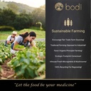 bodi-maca-root-powder-4oz-to-5lb-100-pur-5.jpg