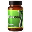 bioxcell-celulas-madres-stemcells-afa-bl-2.jpg