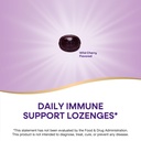 nature-s-way-sambucus-immune-lozenges-hi-4.jpg