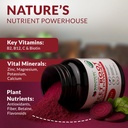 nautical-elements-organic-beet-juice-pow-6.jpg