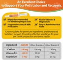 oral-calcium-for-whelping-dogs-cats-fast-4.jpg
