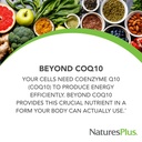 naturesplus-beyond-coq10-50-mg-60-softge-2.jpg