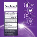 sambucol-black-elderberry-syrup-original-2.jpg