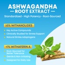 2-pack-ashwagandha-gummies-with-turmeric-3.jpg