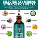 21-in-1-lymphatic-drainage-drops-lymphat-2.jpg