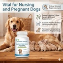 calcium-phosphorus-for-dogs-supplement-p-5.jpg