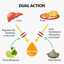 upnourish-plant-sterols-citrus-bergamot--2.jpg