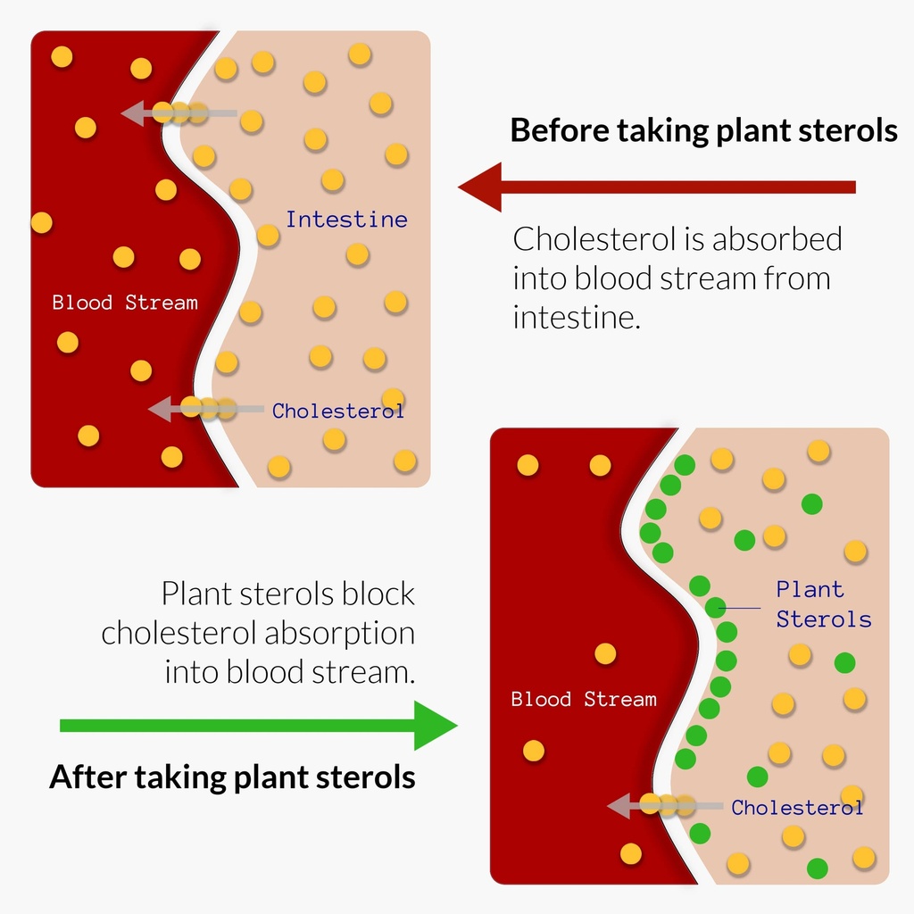 upnourish-plant-sterols-citrus-bergamot--3.jpg
