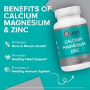qunol-turmeric-magnesium-turmeric-curcum-5.jpg