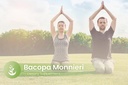 pure-original-ingredients-bacopa-monnier-5.jpg