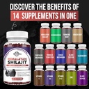 shilajit-gummies---himalayan-organic-shi-2.jpg