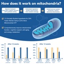 usp-methylene-blue-pharmaceutical-grade--5.jpg