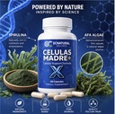 celulas-madre-plus-x-supplement-with-spi-4.jpg