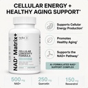 nad-matrix-cellular-longevity-formula-na-2.jpg