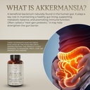 akkermansia-muciniphila-probiotic-saffro-3.jpg
