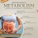 akkermansia-muciniphila-probiotic-saffro-2.jpg