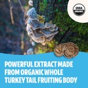 freshcap-mushrooms-immunity-bundle-turke-5.jpg