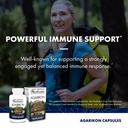 host-defense-agarikon-capsules-immune-sy-4.jpg