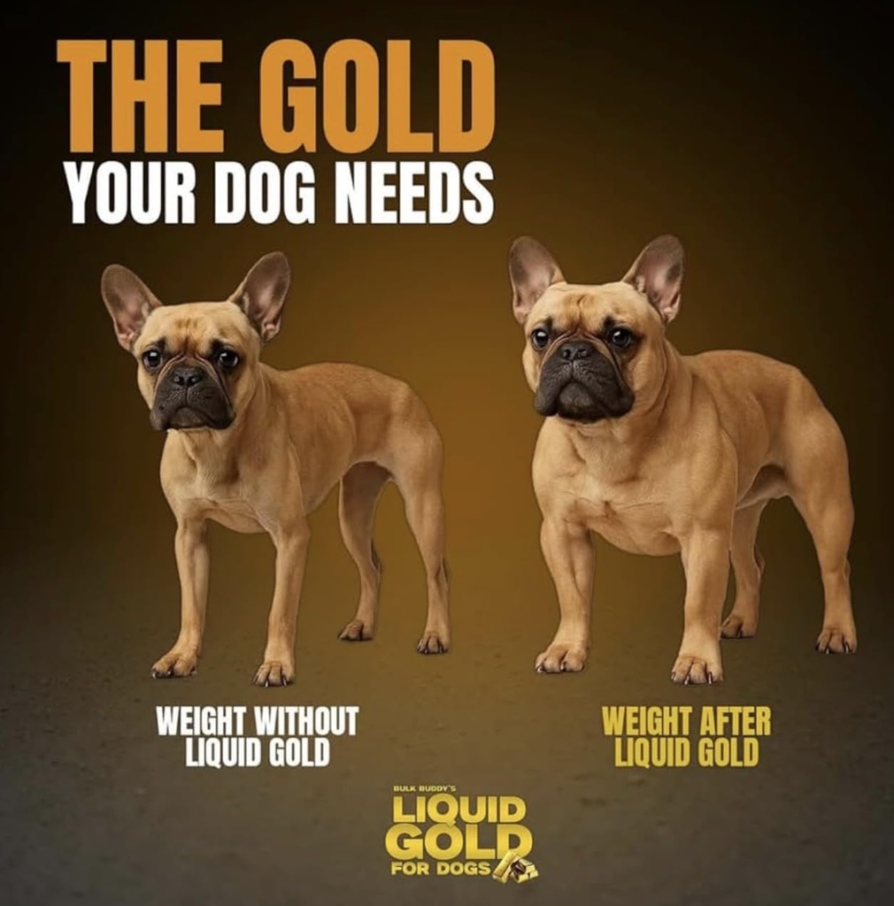 weight-gainer-for-dogs-2.jpg
