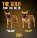 weight-gainer-for-dogs-2.jpg