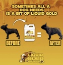weight-gainer-for-dogs-3.jpg