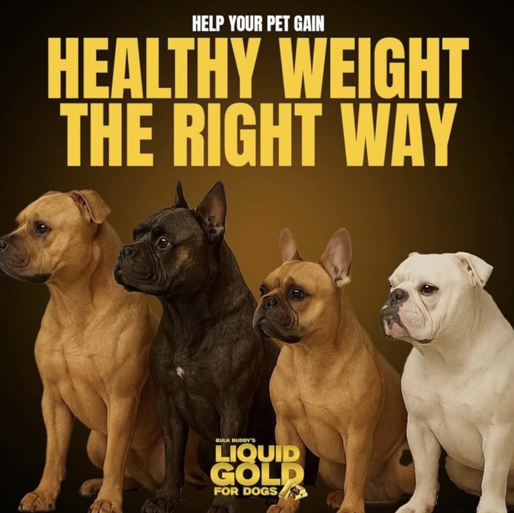 weight-gainer-for-dogs-6.jpg