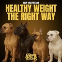 weight-gainer-for-dogs-6.jpg