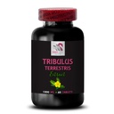 dynamic-strength-support-tribulus-terres-2.jpg