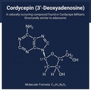 addictive-wellness-cordyceps-militaris-5-5.jpg