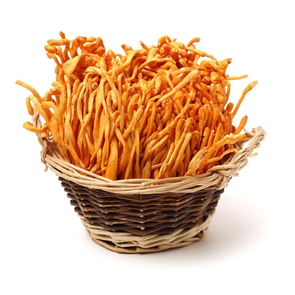 addictive-wellness-cordyceps-militaris-5-3.jpg