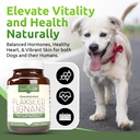 lignans-for-life-flaxseed-lignans-for-do-4.jpg