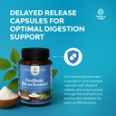 high-purity-sodium-bicarbonate-capsules--4.jpg