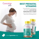 conceive-plus-prenatal-gummies---dha-fol-3.jpg