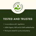 delayed-release-ginkgo-120-mg-100-caps-b-4.jpg