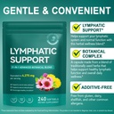 lymphatic-drainage-supplements-echinacea-6.jpg