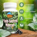 fulvic-humic-mineral-blend-of-trace-mine-3.jpg
