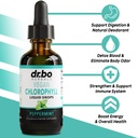 chlorophyll-liquid-drops-body-detox-cand-2.jpg