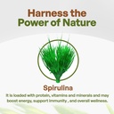 go-nutra-spirulina-powder-organic-pure-n-3.jpg