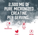 biosteel-creatine-monohydrate-powder---7-3.jpg