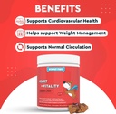 wonder-paws-heart-vitality-superhero-che-4.jpg