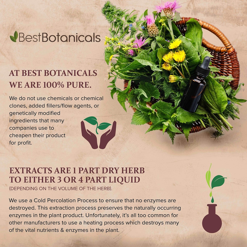 best-botanicals-oregon-grape-root-powder-3.jpg