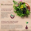 best-botanicals-oregon-grape-root-powder-3.jpg