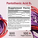 jarrow-formulas-pantothenic-acid-b5-500--6.jpg