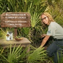 pure-saw-palmetto-oil-95-98-concentrated-6.jpg
