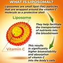 antioxidant-immunity-support-bundle---li-2.jpg