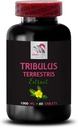tribulus-terrestris-extract-pure-tribulu-2.jpg
