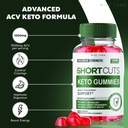 rize-labs-shortcuts-keto-gummies-shortcu-2.jpg