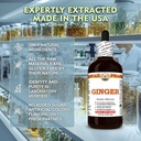ginger-zingiber-officinale-dry-root-tinc-4.jpg